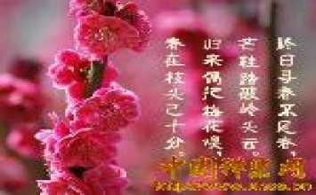 Cái nhìn mùa xuân